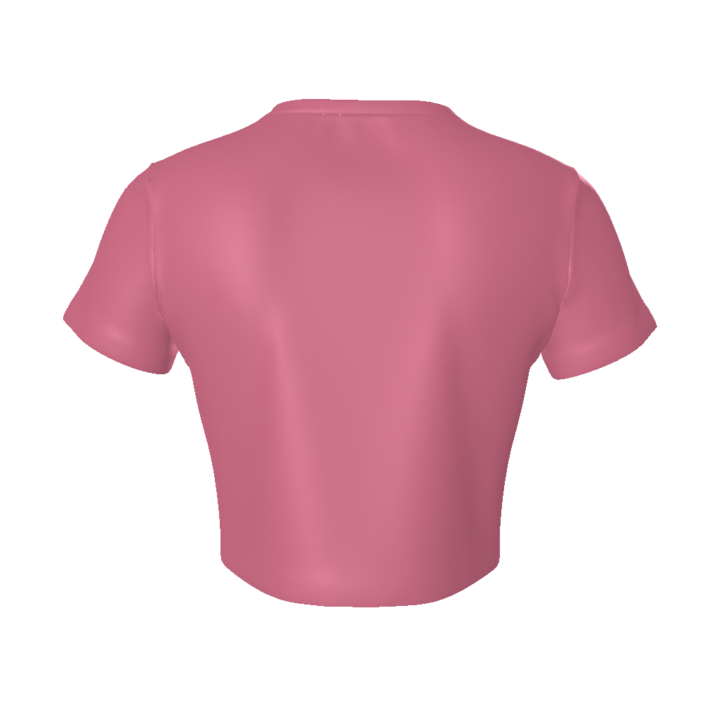 SWAGGER- Women's Fitted Crop Tee